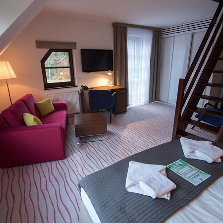 Aparthotel Flinski Sport & Spa Świeradów-Zdrój Zimmer foto